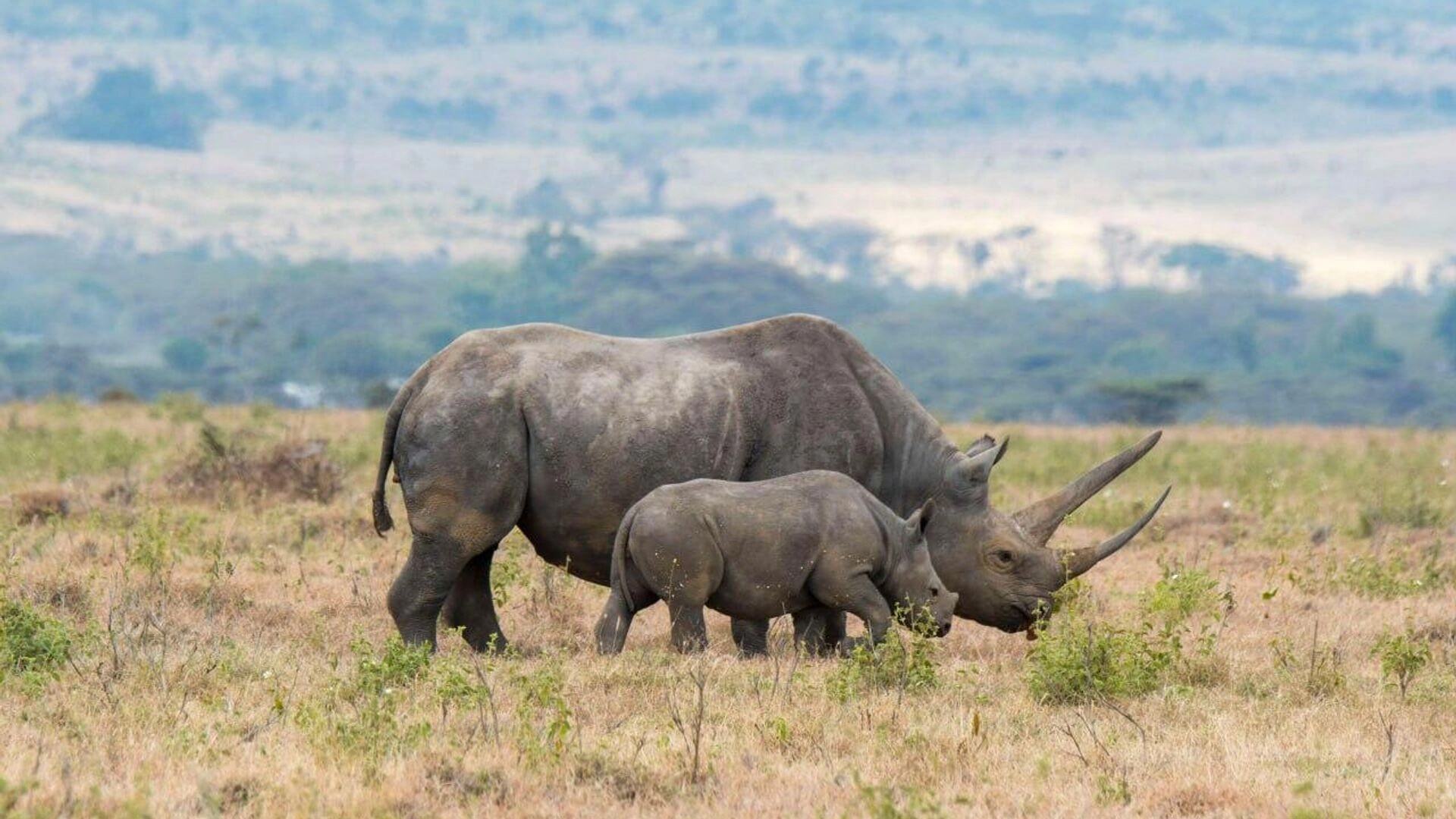 Aberdare National Park Attractions