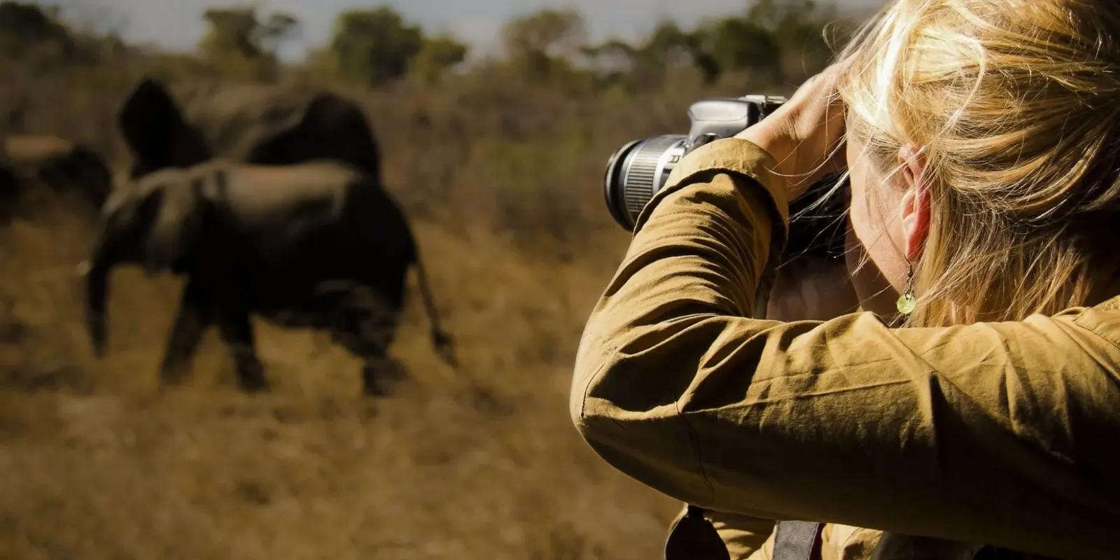 Melodica Africa Tours and Safaris