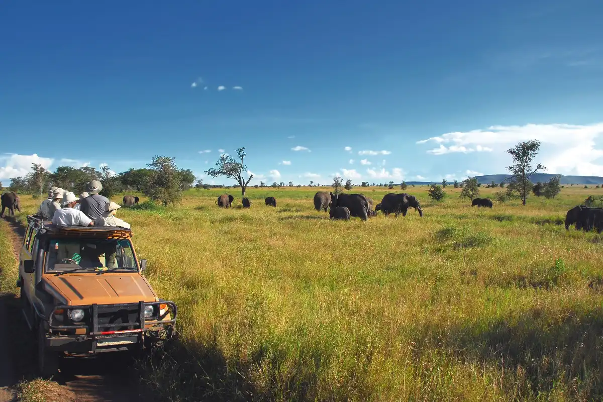 Best Time To Travel Tanzania