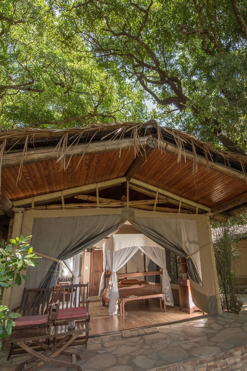 Fig Tree Camp
