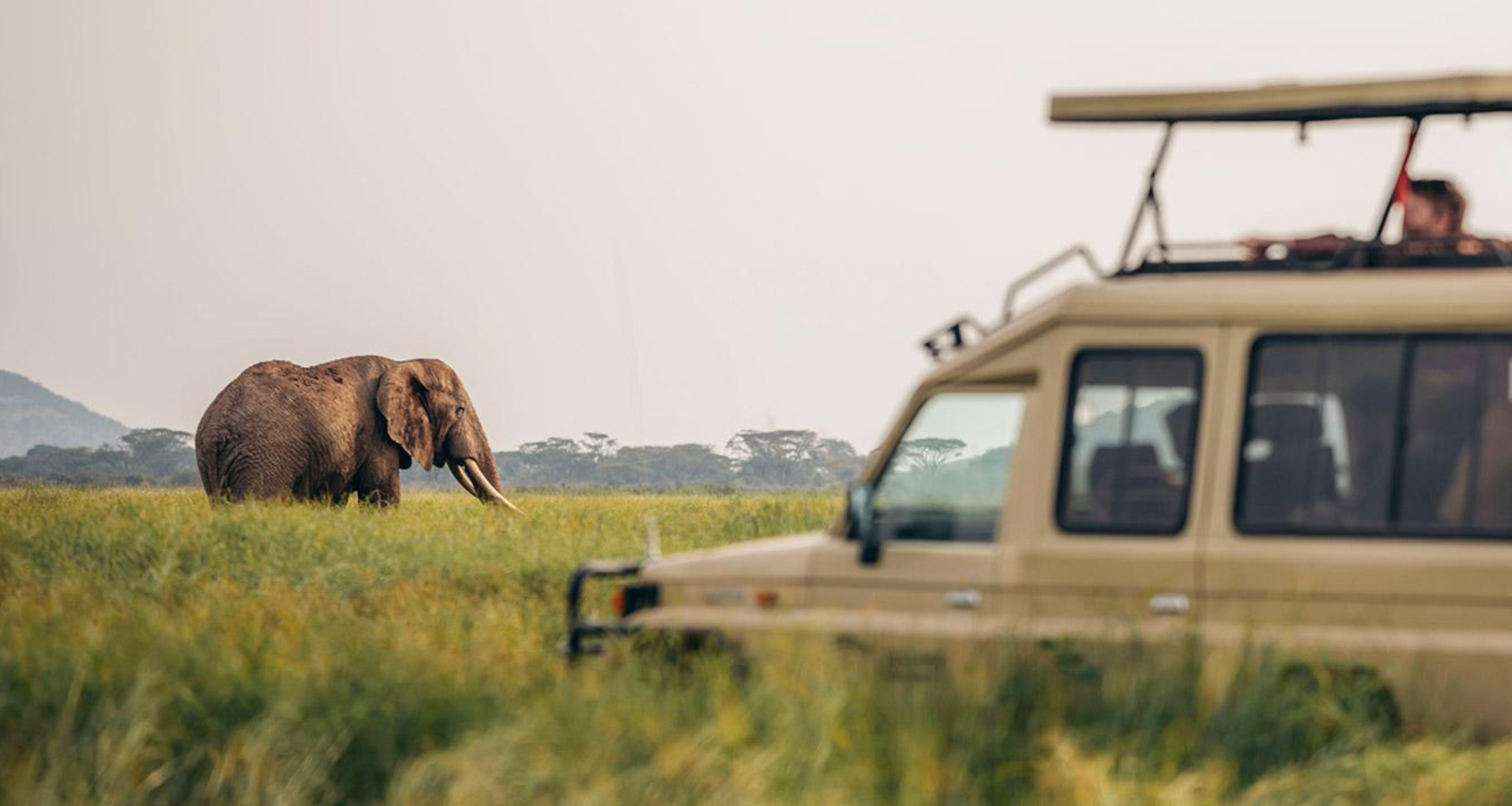 East Africa Safari Experience Game Drive