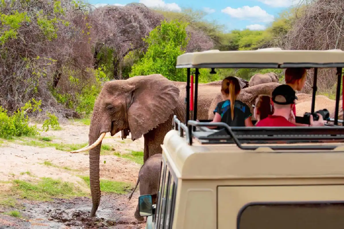 Is Tanzania Safe To Travel