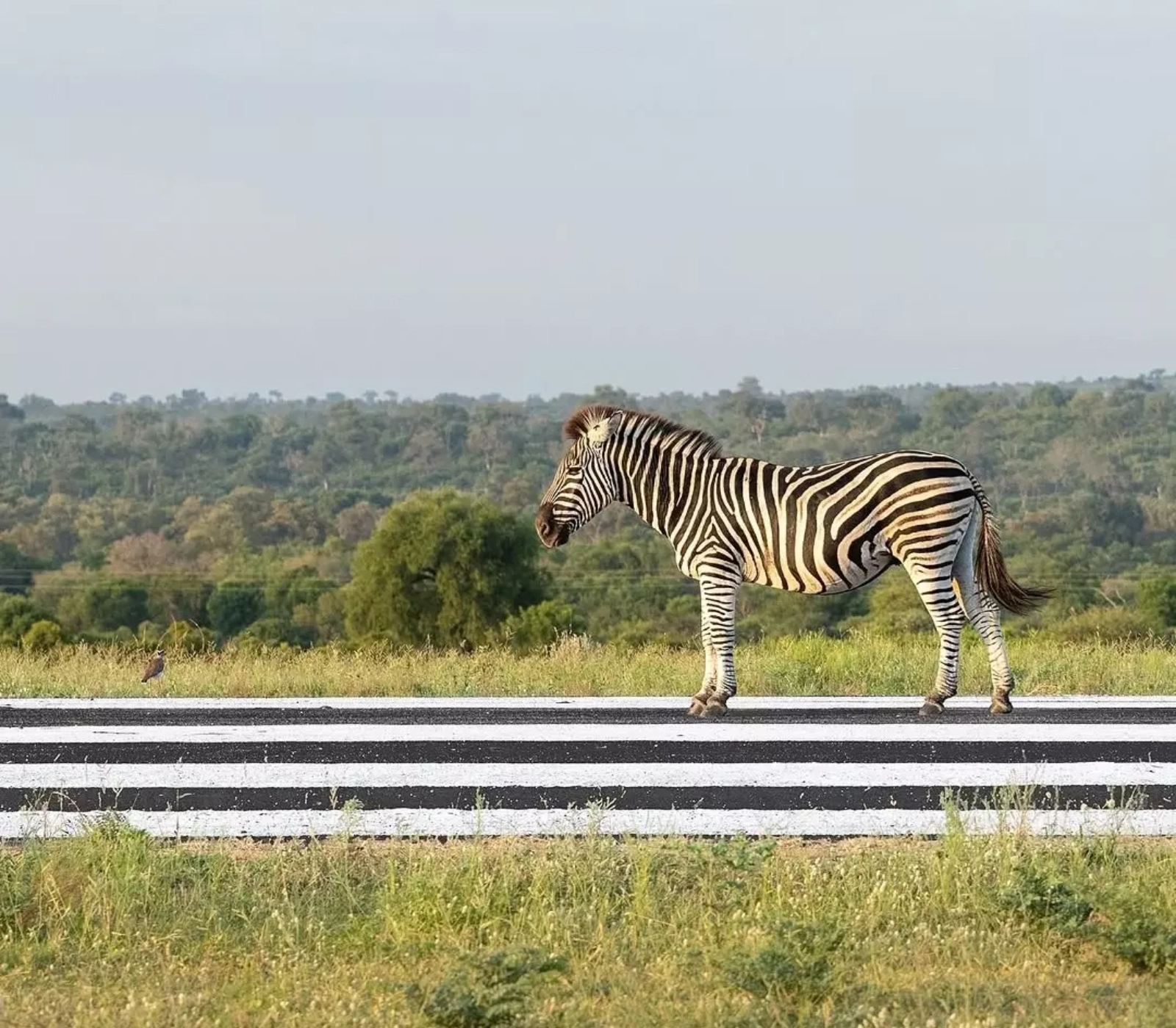 Kenya Destinations Attractions