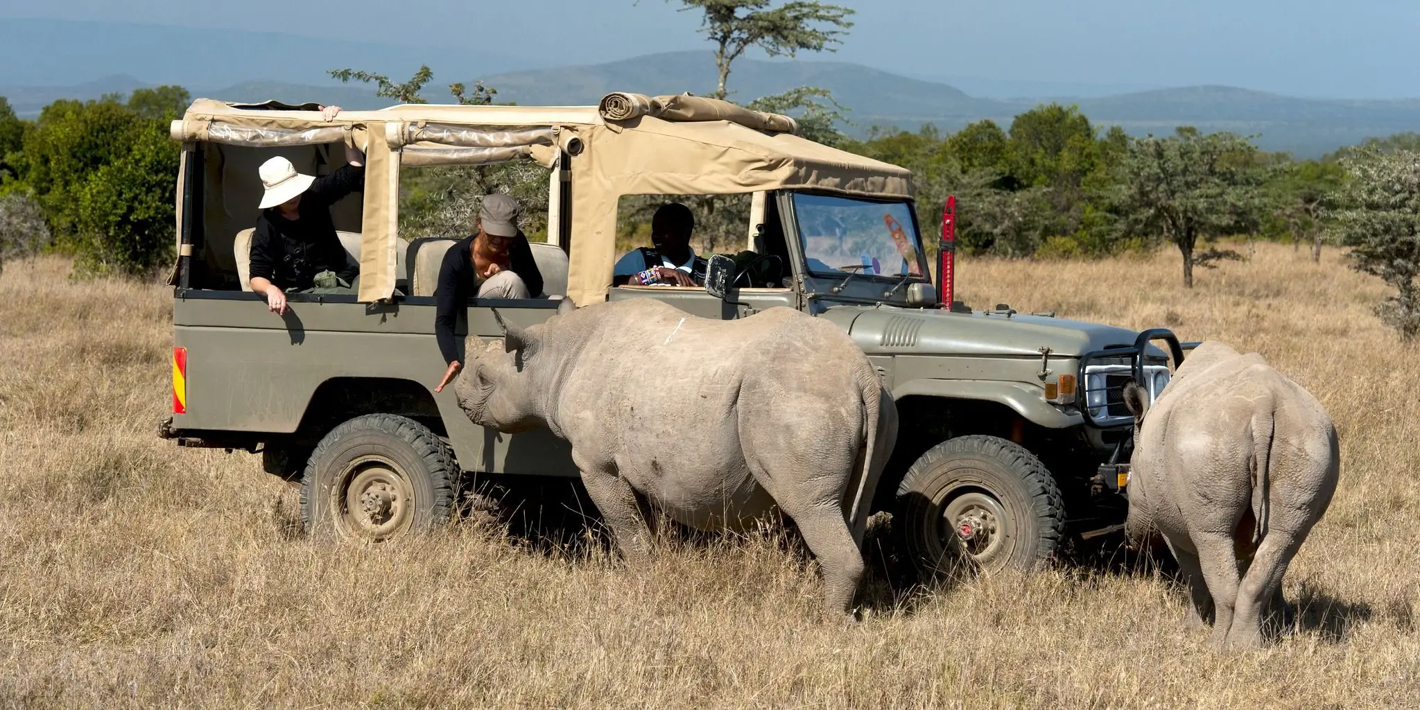 Kenya Safari Cost