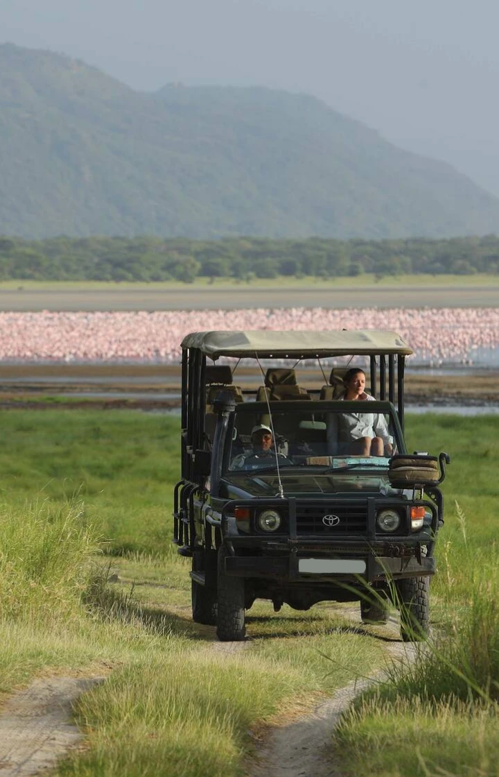 Game Drives
