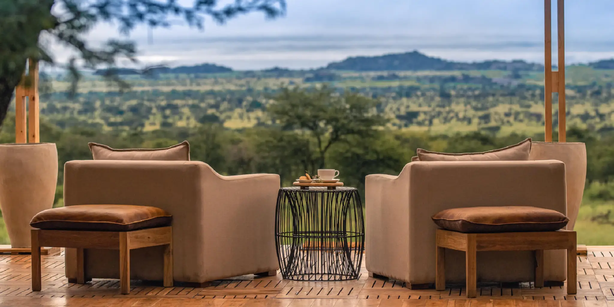 Luxury Safari