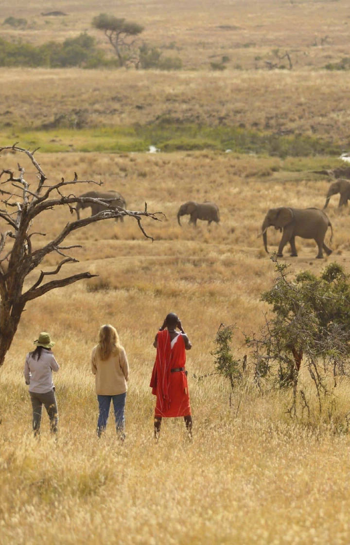 Masai Mara National Reserve Walking Safaris & Nature Hikes