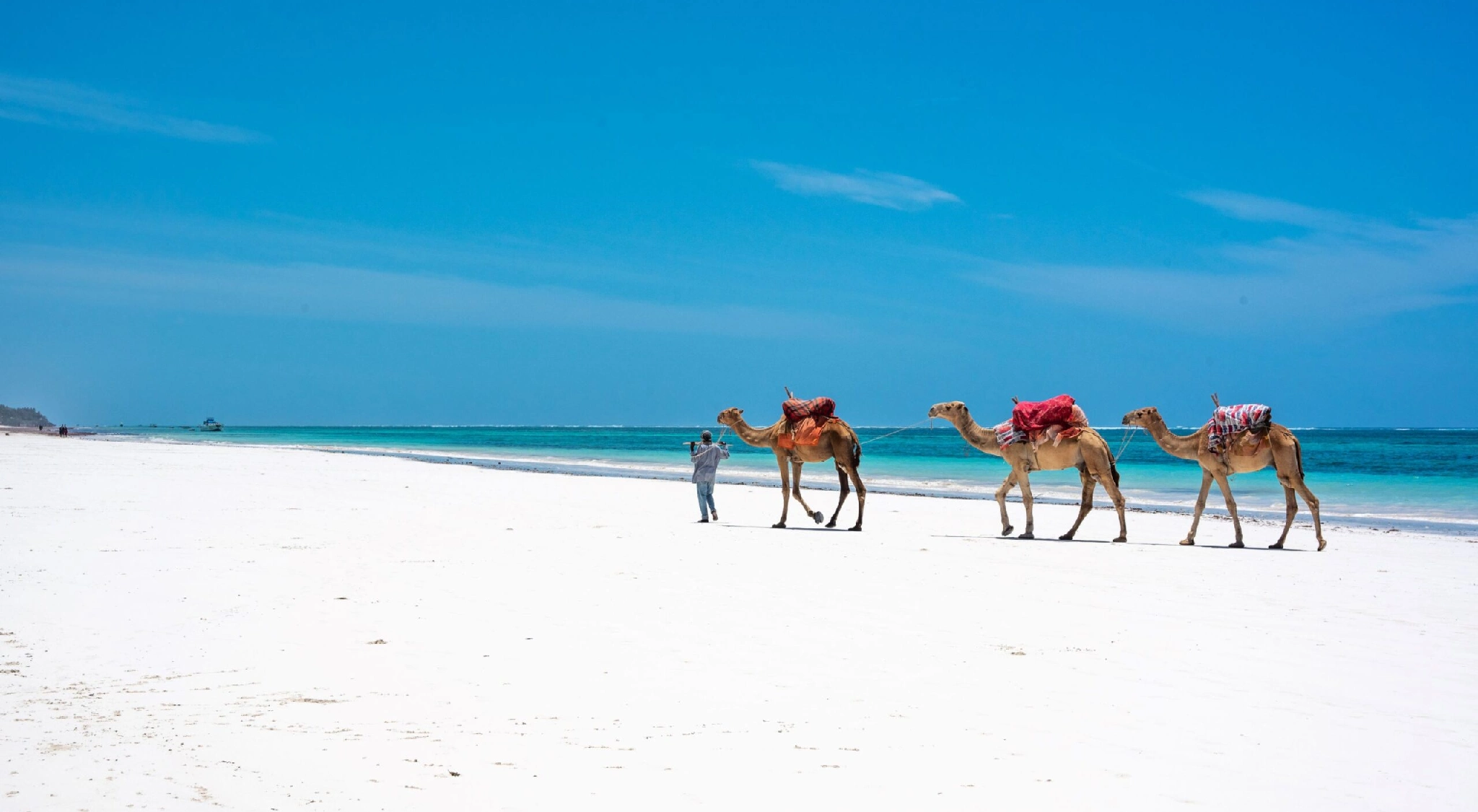  Go To Mombasa