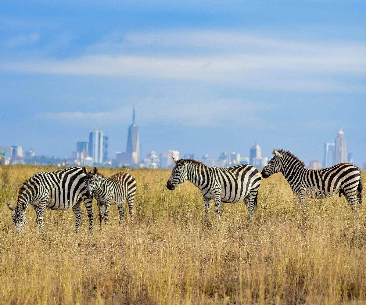 Kenya Destinations Nairobi National Park