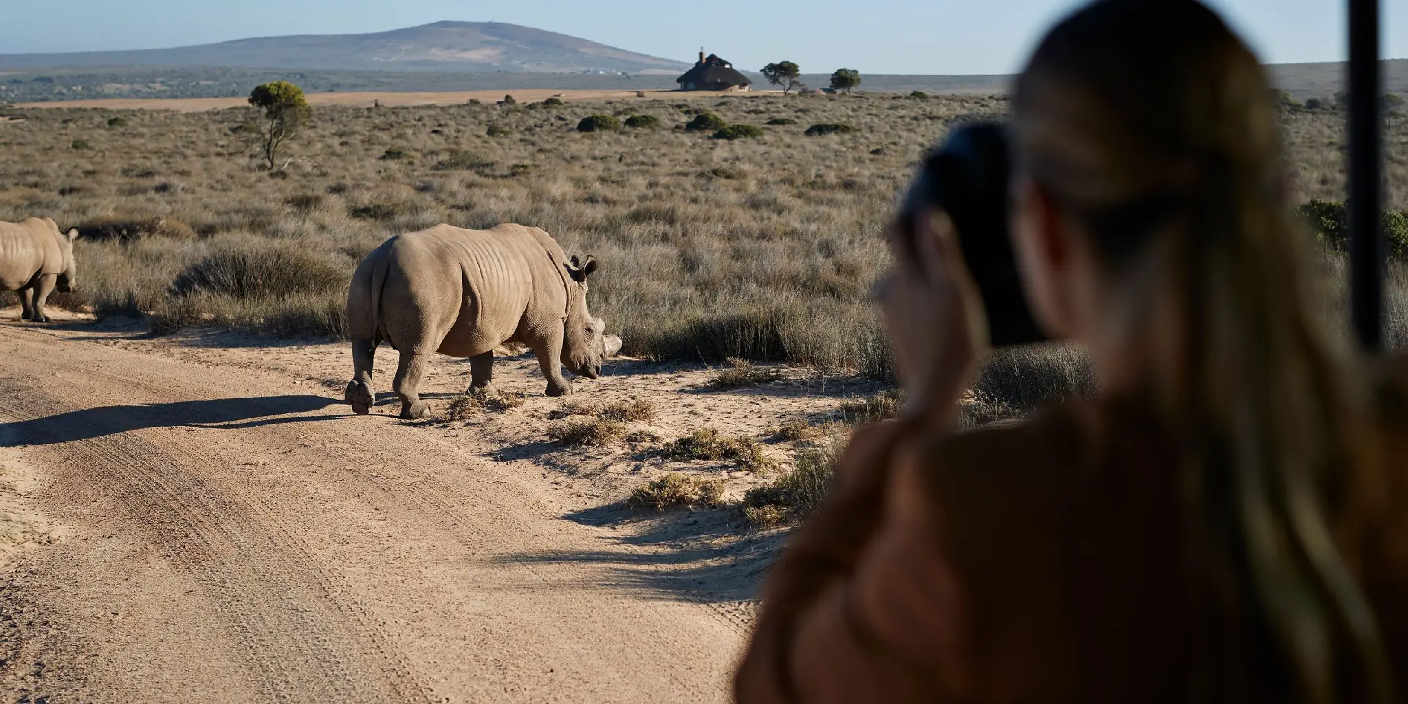 Photography Safaris