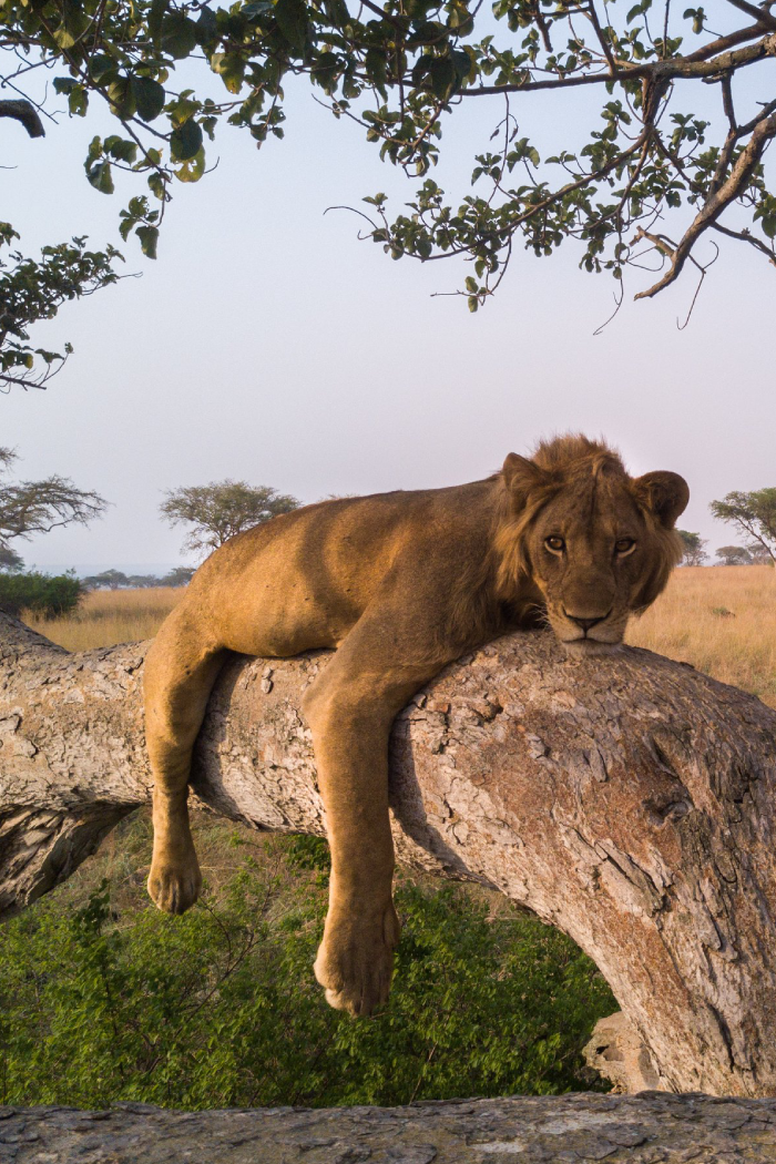 Uganda Destinations Queen Elizabeth National Park