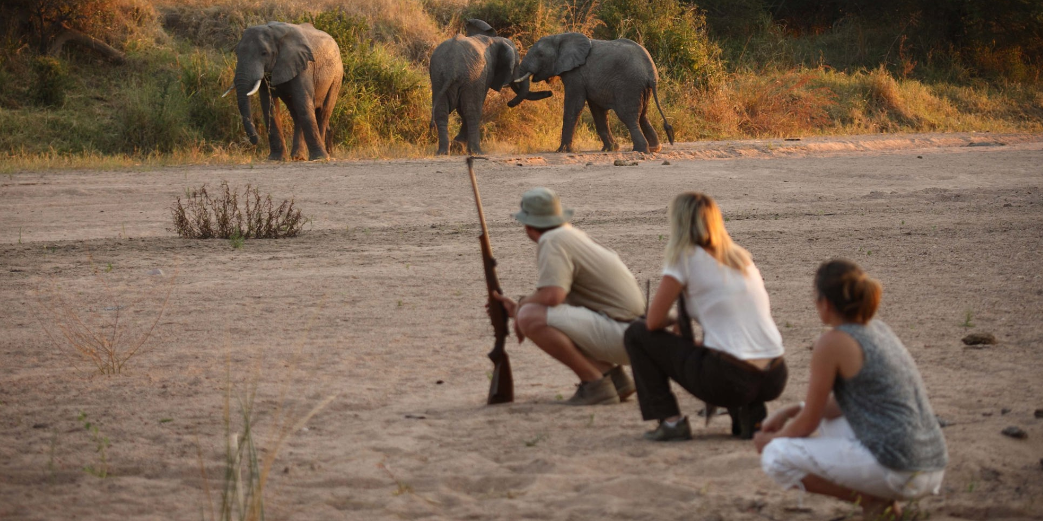 Ruaha National Park