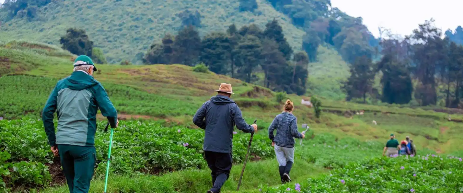 Rwanda  Safari Faqs