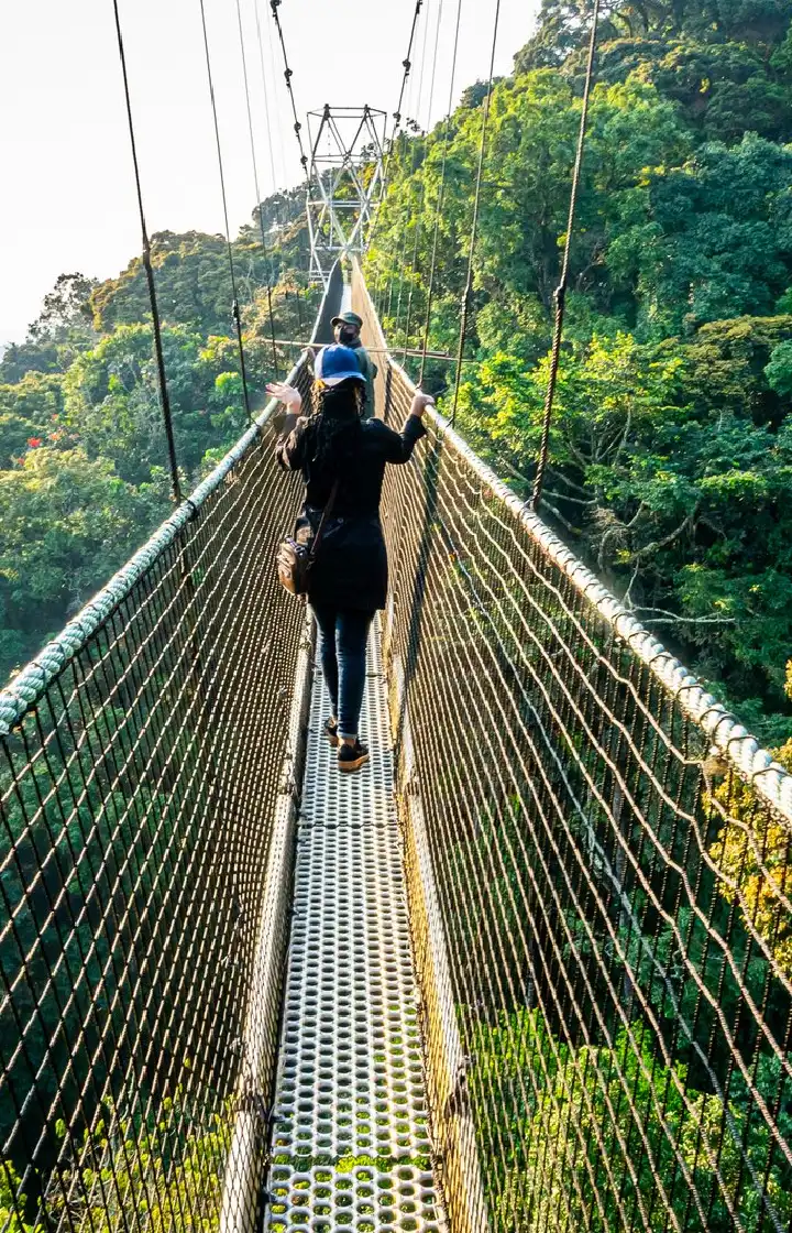 Rwanda Travel Guide