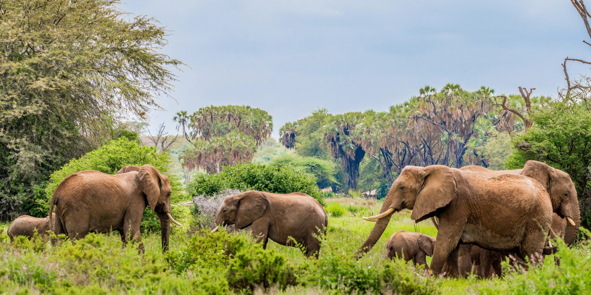  Samburu Game Reserve