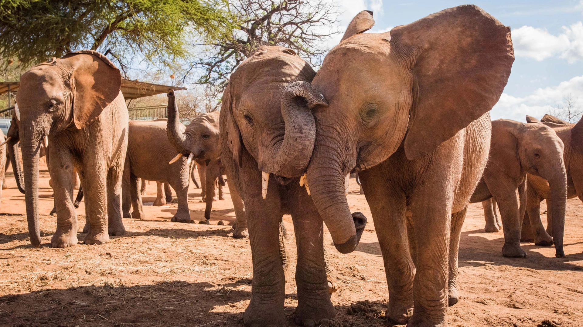 Tsavo East National Park AttractionsTsavo East National Park Attractions