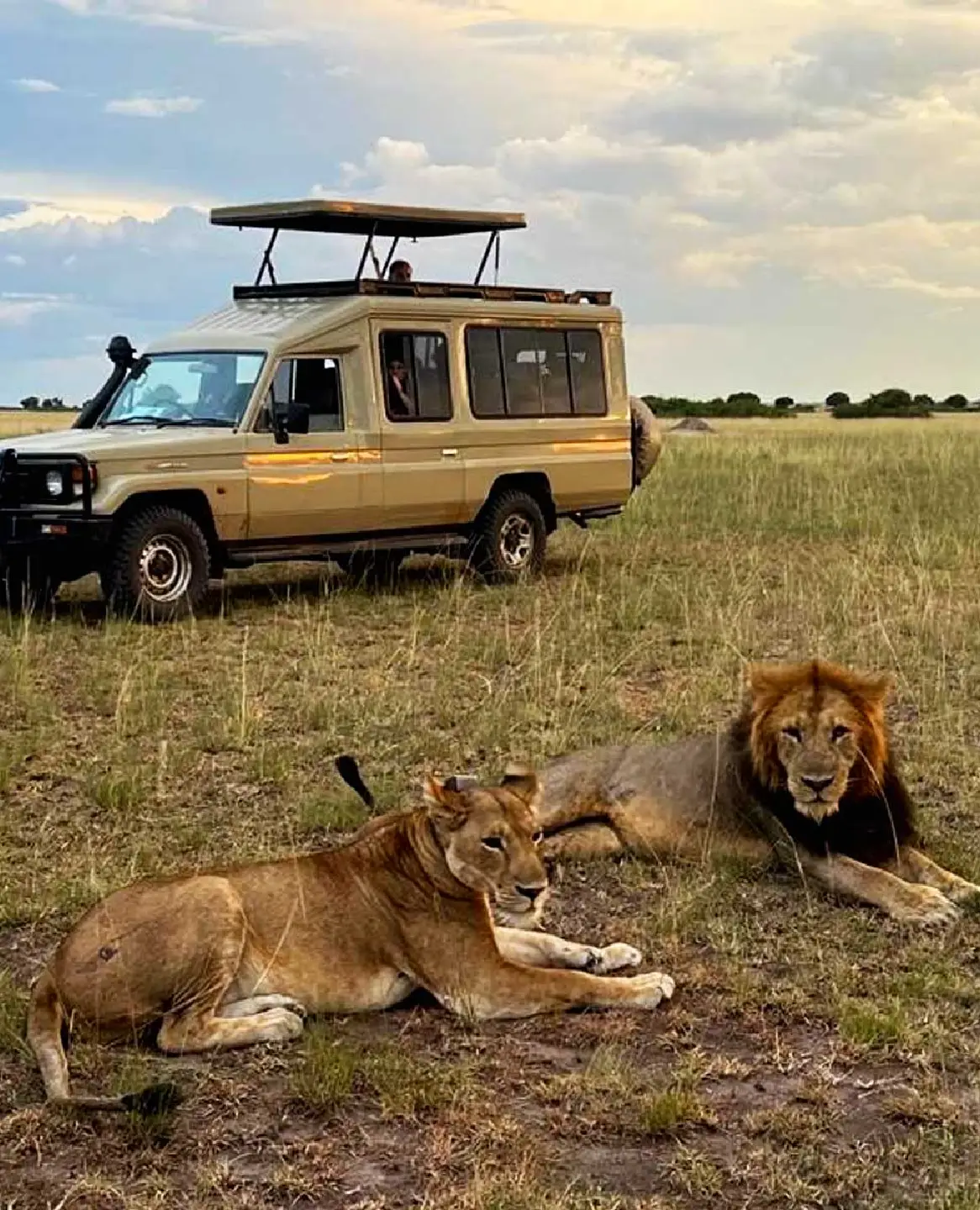 Uganda Safari Cost