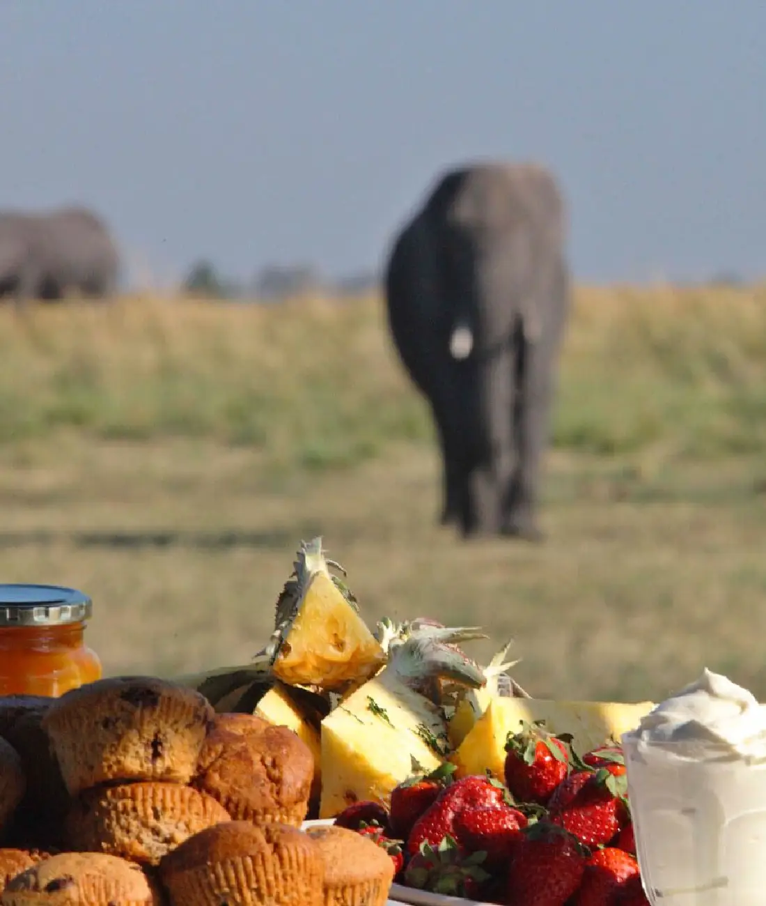Kenya Safari Foods