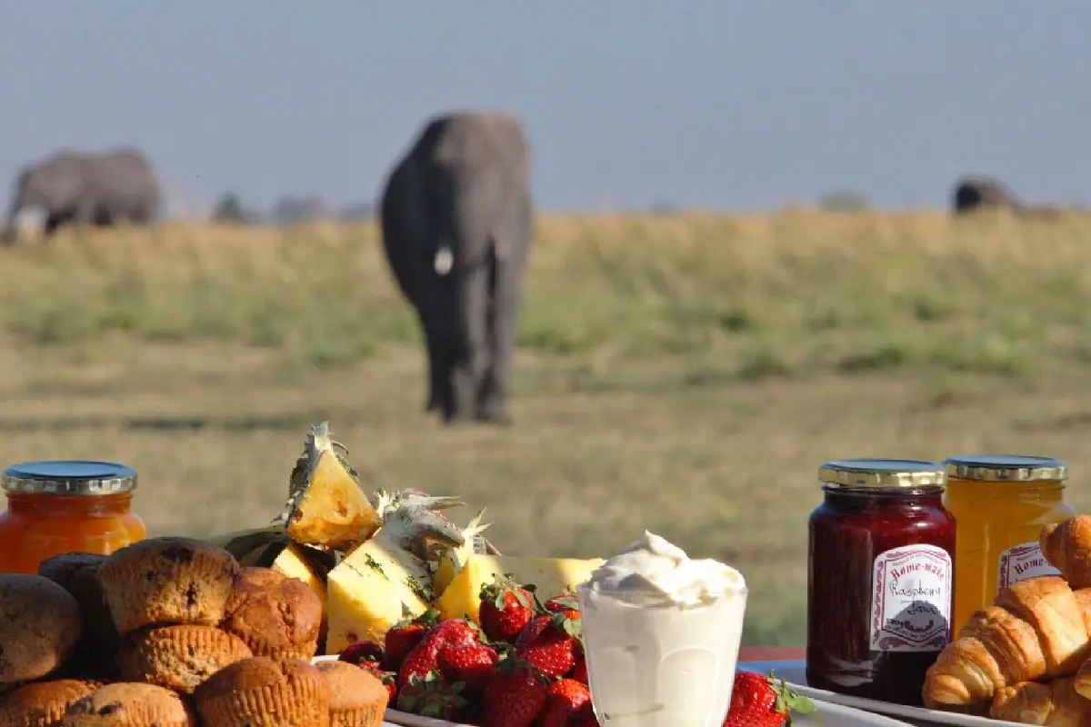 Uganda Safari Foods