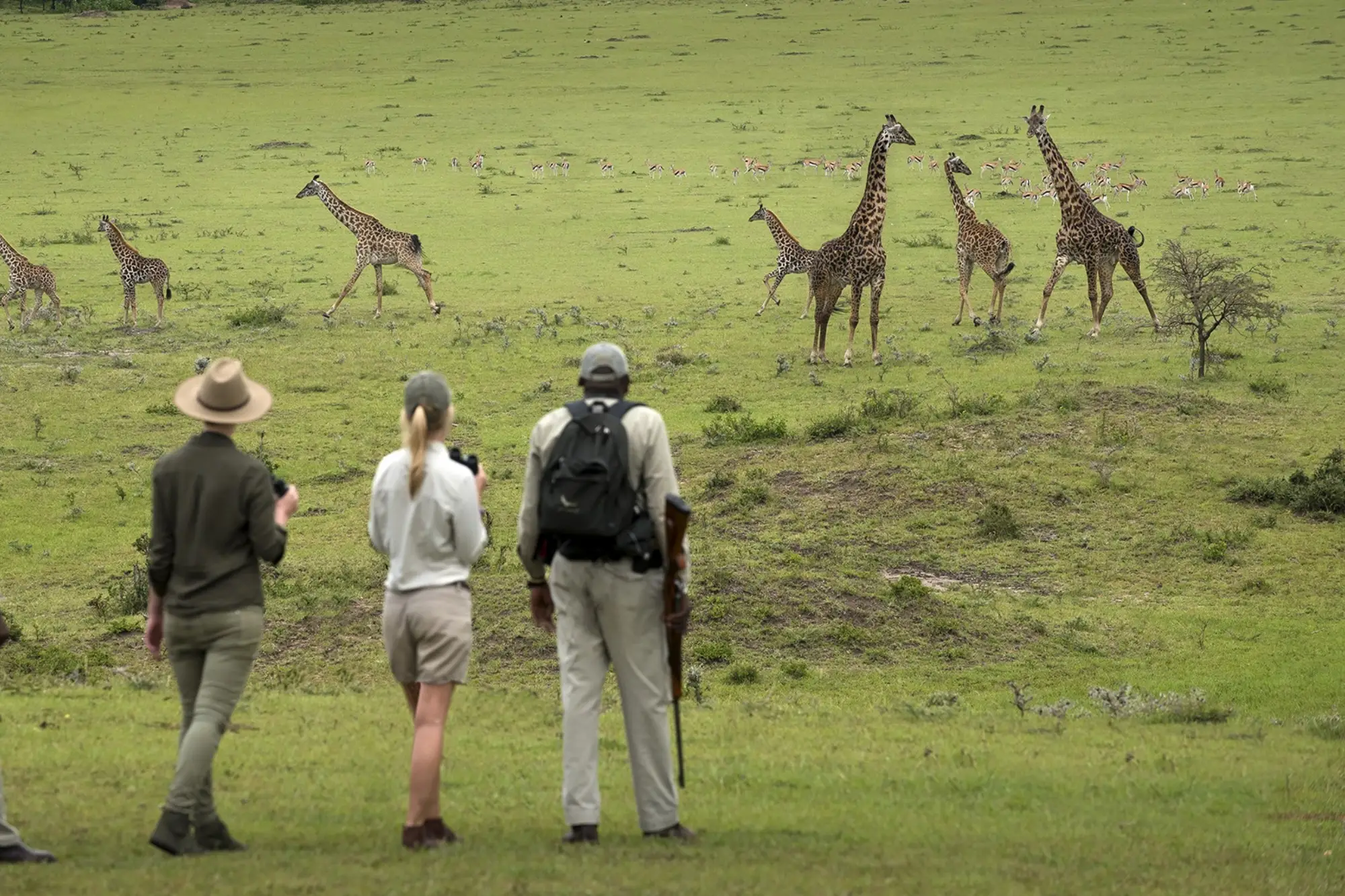 Walking Safari