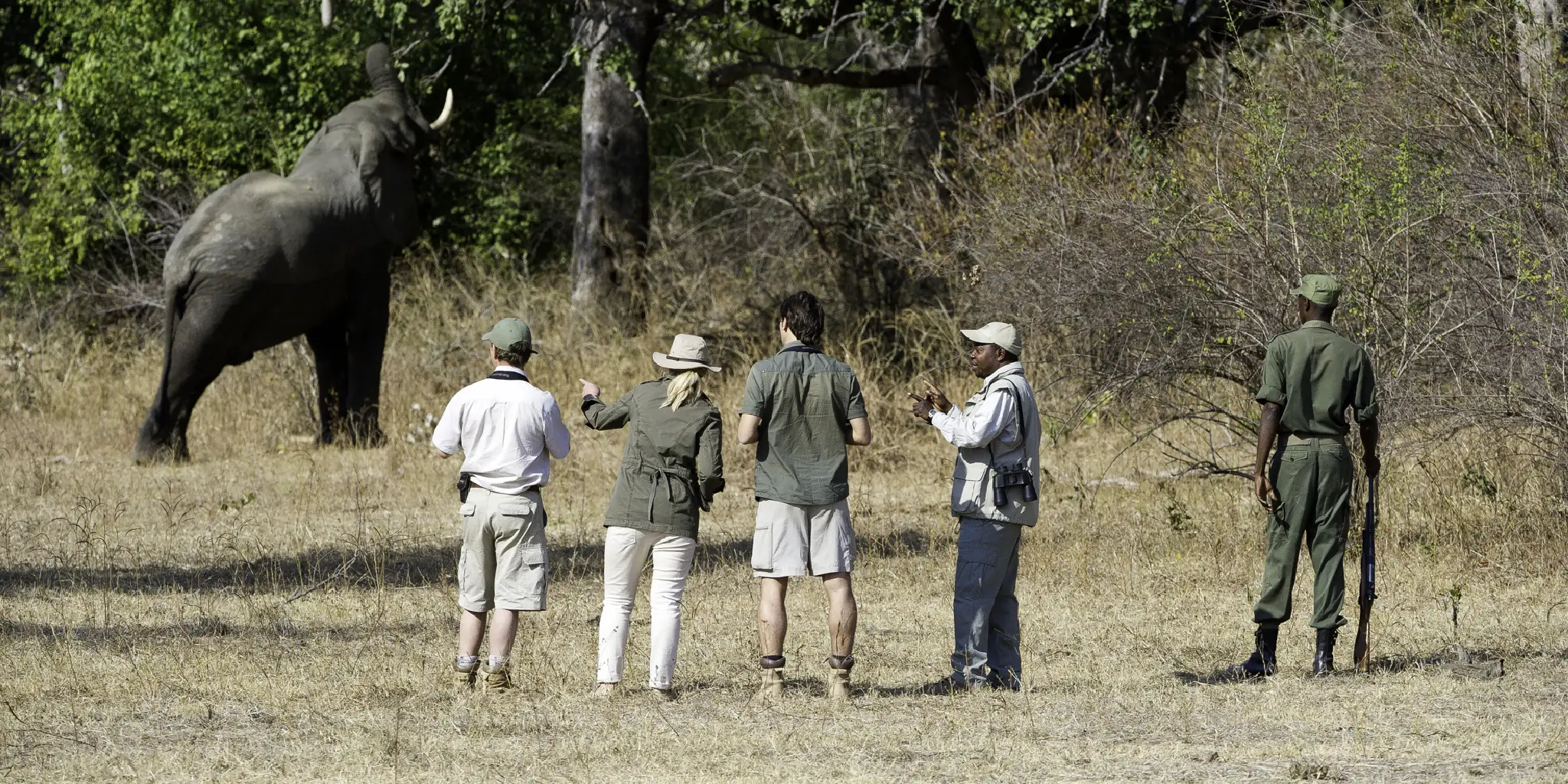 Walking Safari