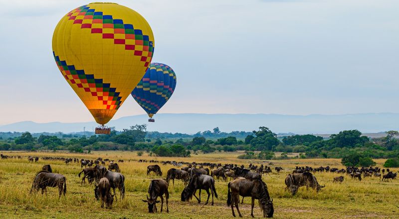 Best Honeymoon Safari Destinations